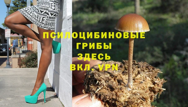 мяу мяу мука Алзамай