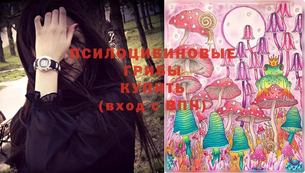 индика Абинск