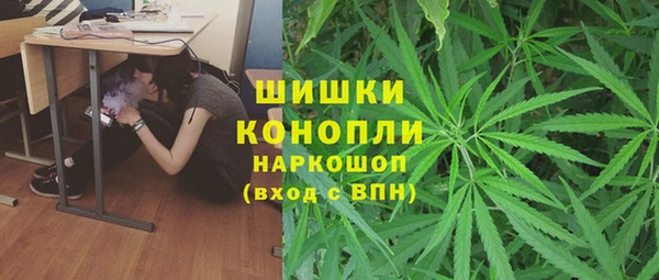 мяу мяу мука Алзамай