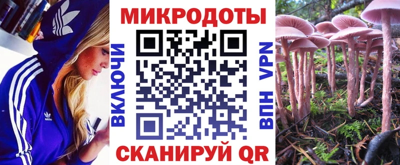 наркошоп Злынка Псилоцибиновые грибы Cubensis